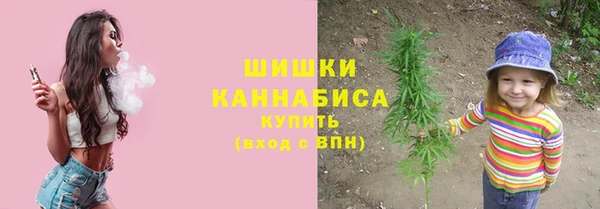 гидра Майский