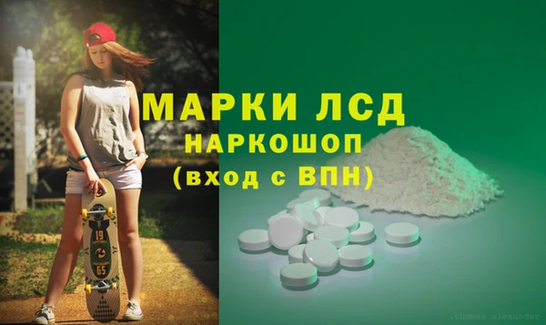 прущие грибы Медногорск