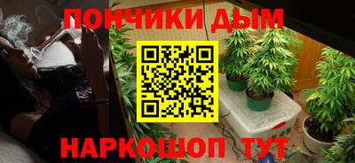 альфа пвп Заводоуковск