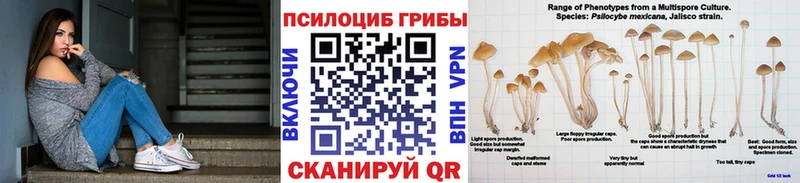Псилоцибиновые грибы Psilocybine cubensis гидра рабочий сайт Миасс
