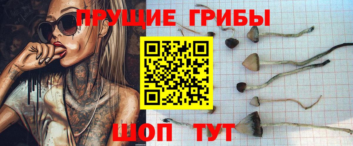 Псилоцибиновые грибы мухоморы  Псилоцибиновые грибы Psilocybine cubensis  Миасс 